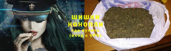 PSILOCYBIN Медногорск