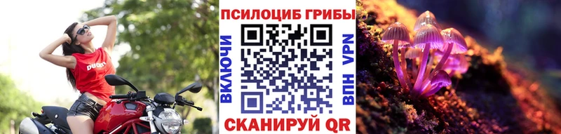 Псилоцибиновые грибы MAGIC MUSHROOMS  Купить закладки  Архангельск 