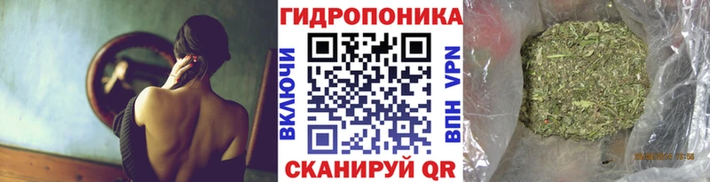 Шишки марихуана планчик  Купить где  Архангельск 